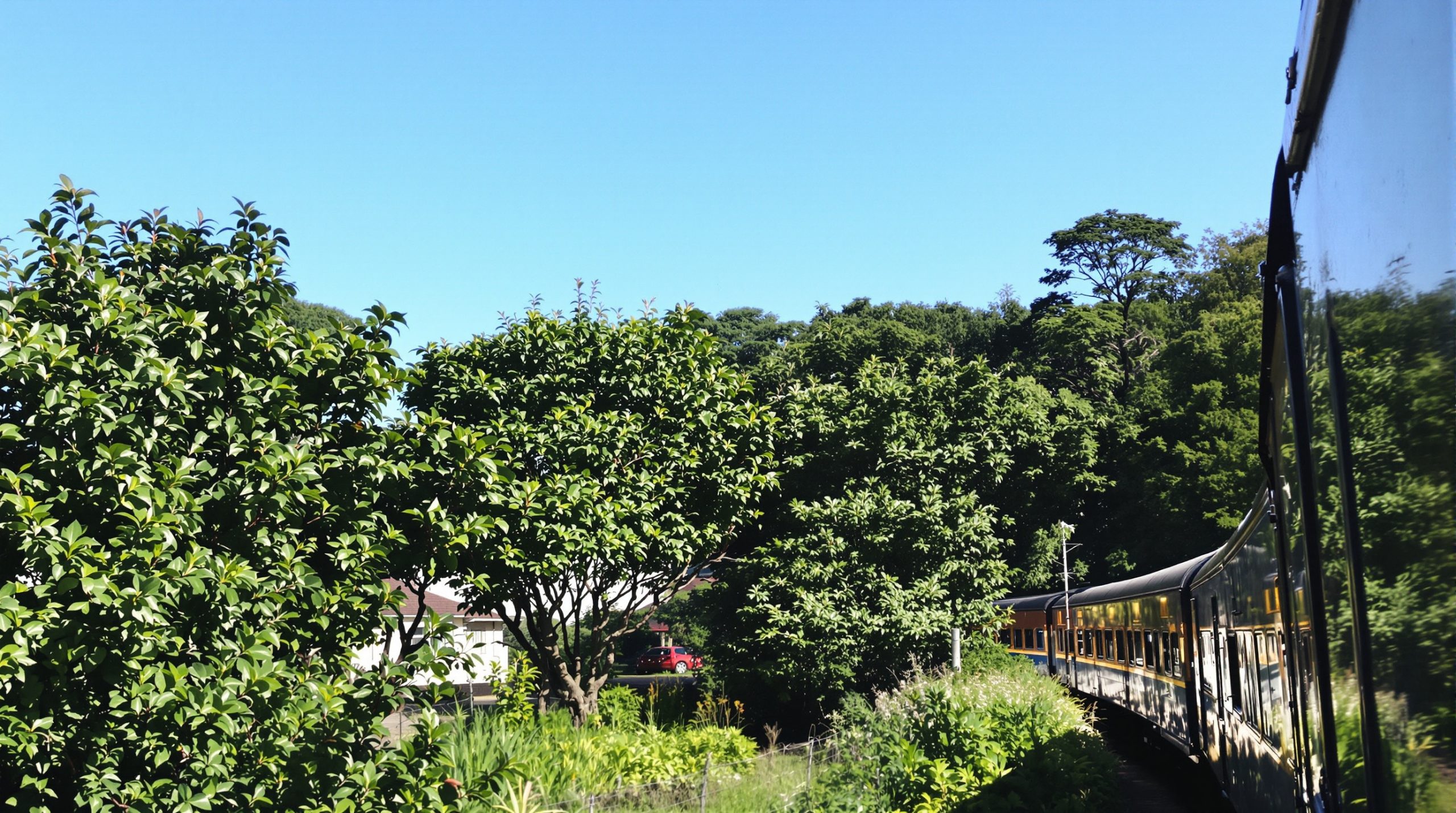 Chemin de fer vers le paradis