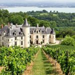 chateau_technologie_vigne.