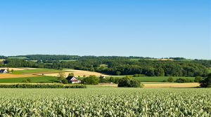 paysage_rural_ferme_Kentucky